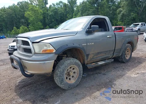 2010 Dodge Ram 1500 z USA, uszkodzony, nr VIN 3D7JV1ETXAG108207